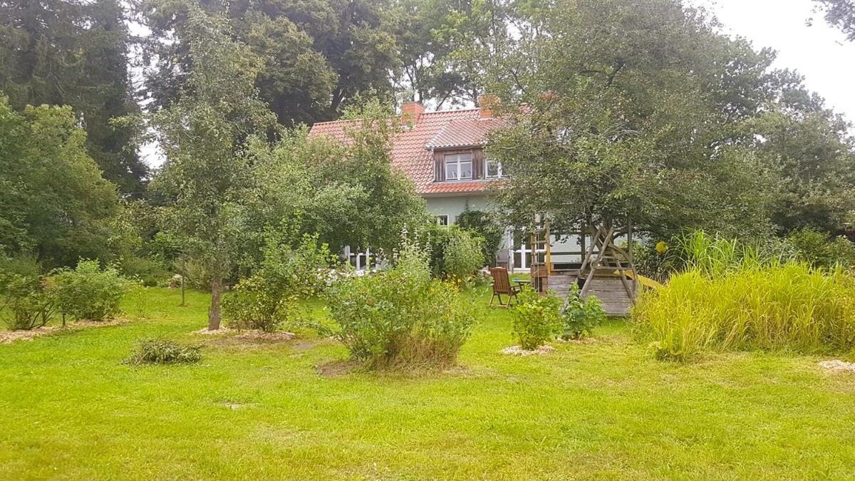 Ferienhaus Salvia Gremersdorf-Buchholz Eksteriør billede