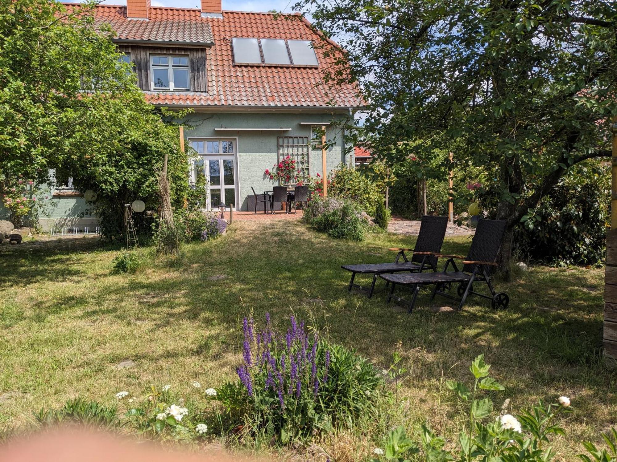 Ferienhaus Salvia Gremersdorf-Buchholz Eksteriør billede